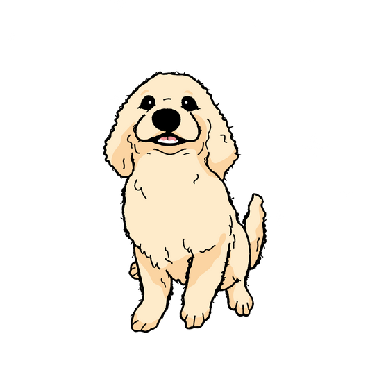 Squish to condish: Add the most moisture!