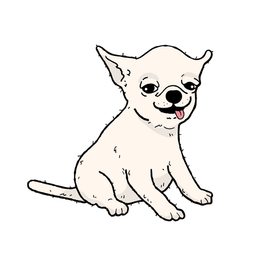 Fatty vs Non fatty alcohols: Decoding Ingredient Lists