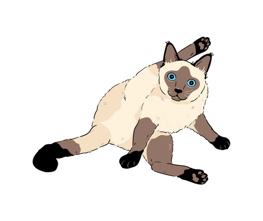 The Fragrance-Free Zone: Why Scented Products and Cats Don't Mix