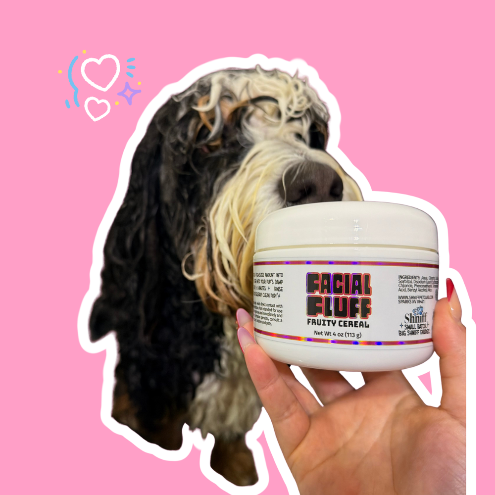 wet shih tzu getting facial