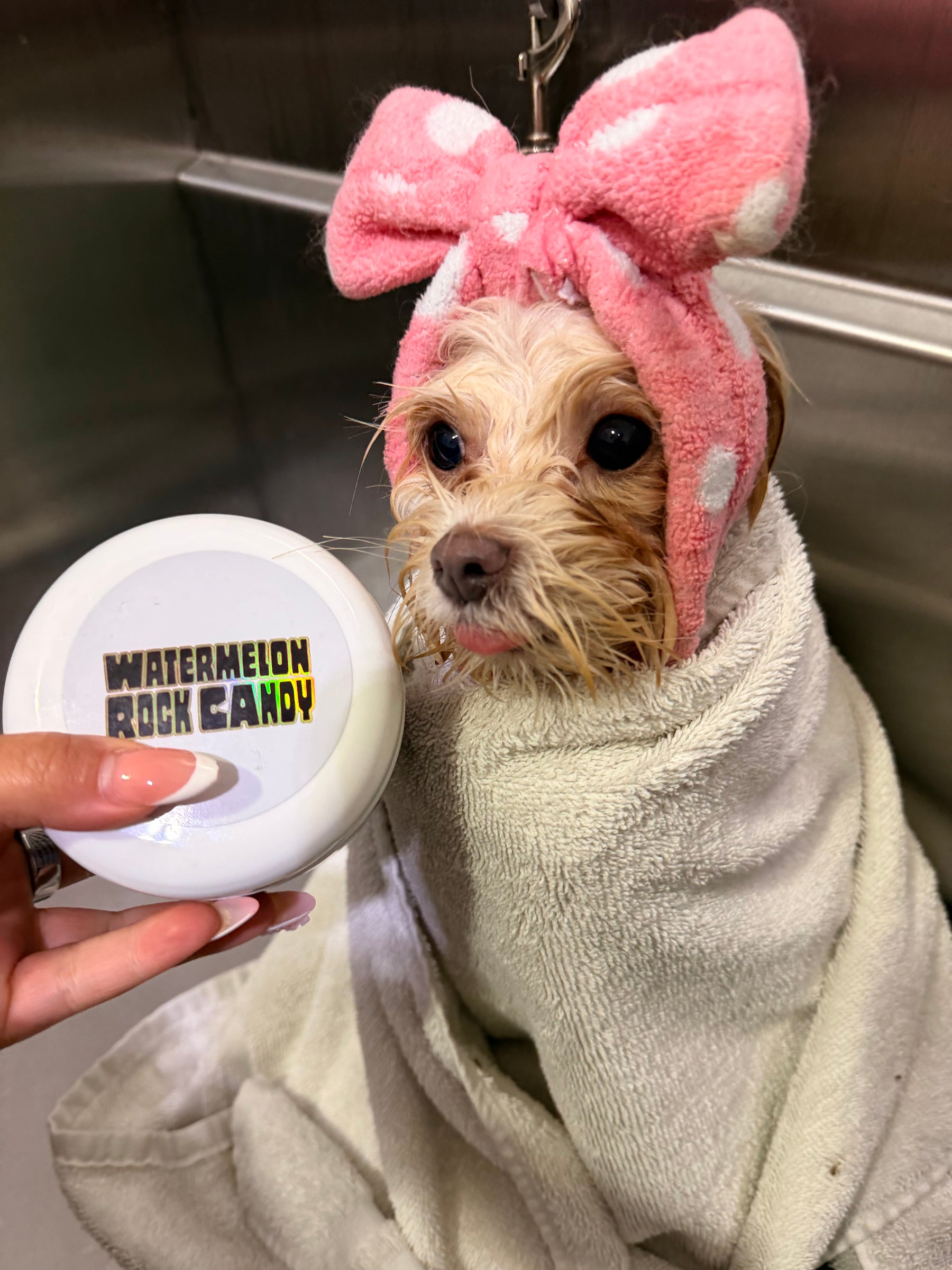 Shniff pet care product